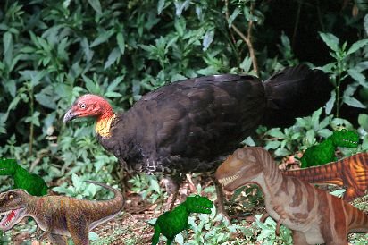 onthehunt.jpg